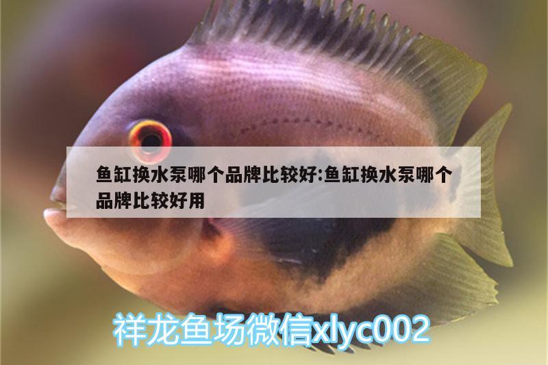 魚缸換水泵哪個品牌比較好:魚缸換水泵哪個品牌比較好用