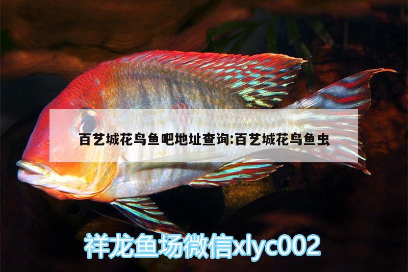 百藝城花鳥魚吧地址查詢:百藝城花鳥魚蟲