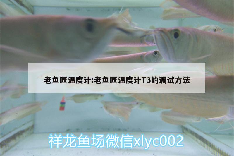 老魚匠溫度計:老魚匠溫度計T3的調(diào)試方法