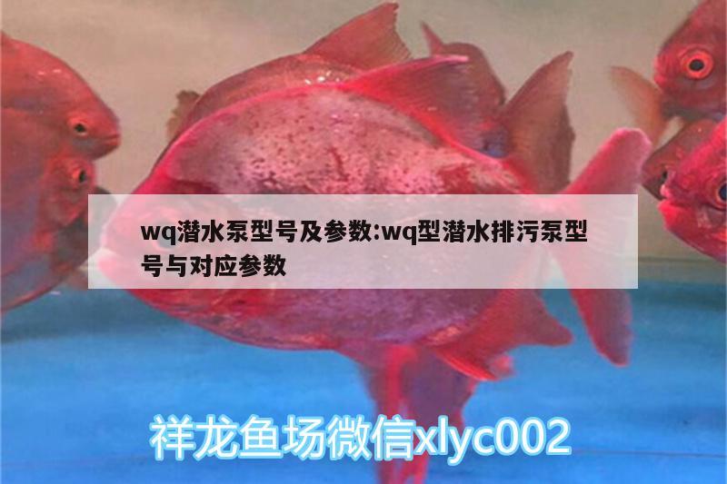 wq潛水泵型號及參數(shù):wq型潛水排污泵型號與對應參數(shù) 高背金龍魚