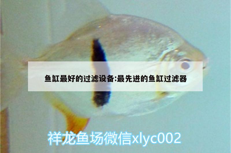 魚缸最好的過濾設(shè)備:最先進(jìn)的魚缸過濾器 過濾設(shè)備