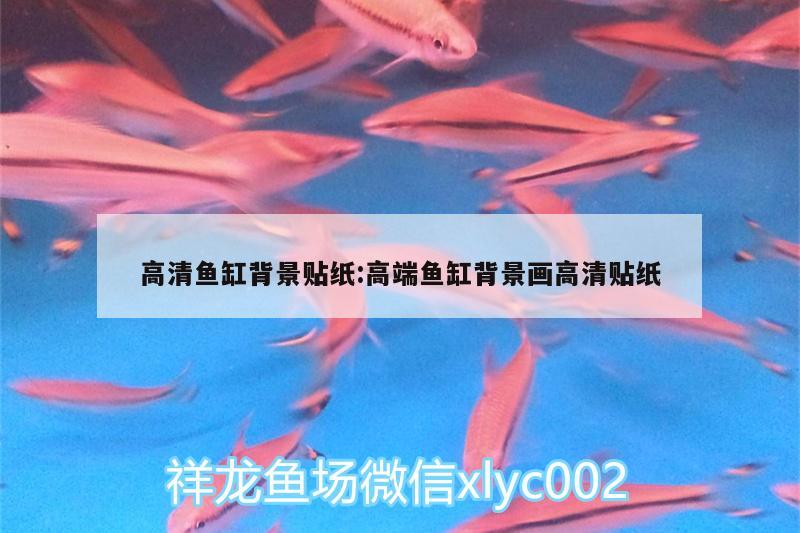 高清魚缸背景貼紙:高端魚缸背景畫高清貼紙