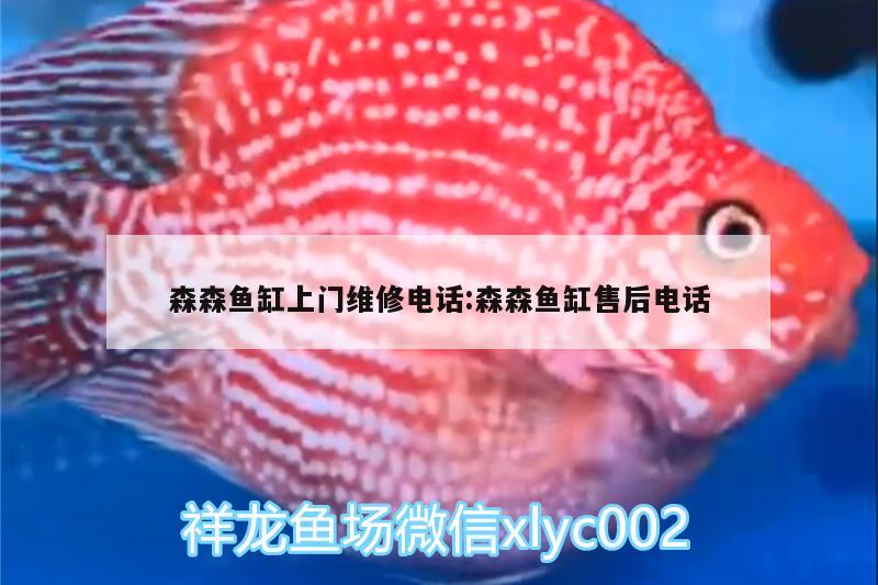 森森魚缸上門維修電話:森森魚缸售后電話