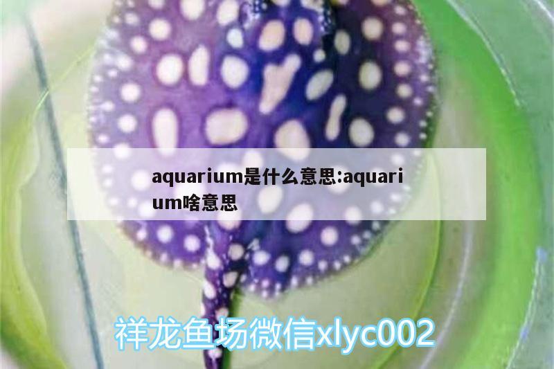 aquarium是什么意思:aquarium啥意思