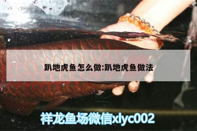 趴地虎魚怎么做:趴地虎魚做法