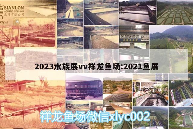 2023水族展vv祥龍魚場(chǎng):2021魚展 水族展會(huì)