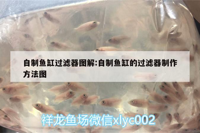 自制魚缸過濾器圖解:自制魚缸的過濾器制作方法圖