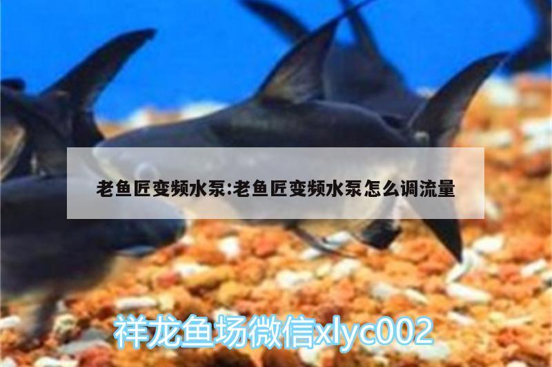 老魚匠變頻水泵:老魚匠變頻水泵怎么調(diào)流量