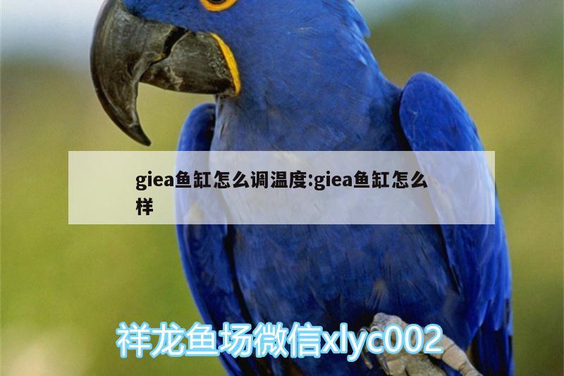 giea魚缸怎么調(diào)溫度:giea魚缸怎么樣 熱帶魚魚苗批發(fā)