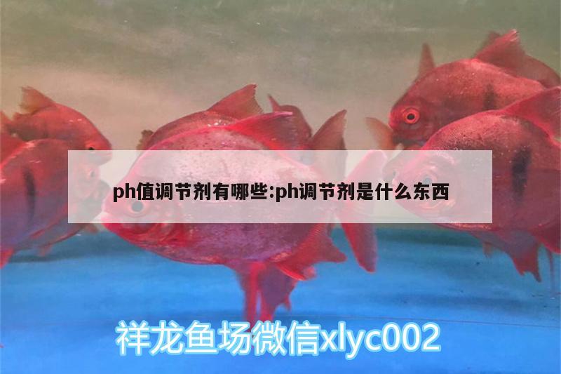 ph值調(diào)節(jié)劑有哪些:ph調(diào)節(jié)劑是什么東西