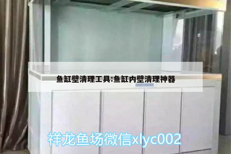 魚缸壁清理工具:魚缸內壁清理神器