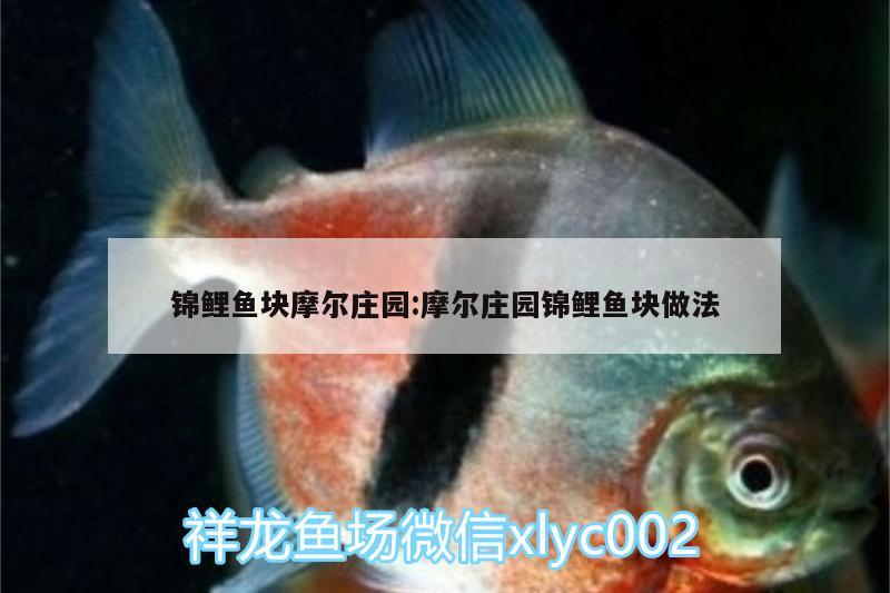 錦鯉魚塊摩爾莊園:摩爾莊園錦鯉魚塊做法