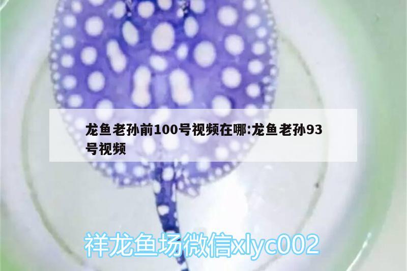 龍魚老孫前100號視頻在哪:龍魚老孫93號視頻 喂食器