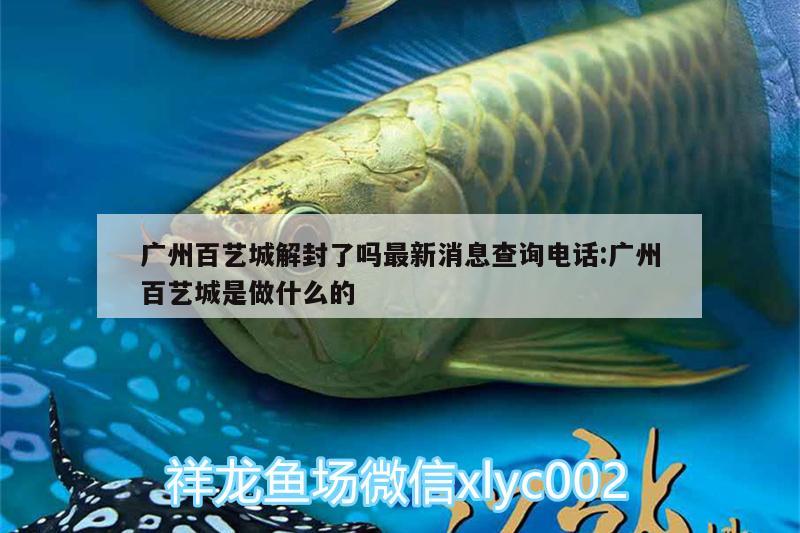 廣州百藝城解封了嗎最新消息查詢電話:廣州百藝城是做什么的