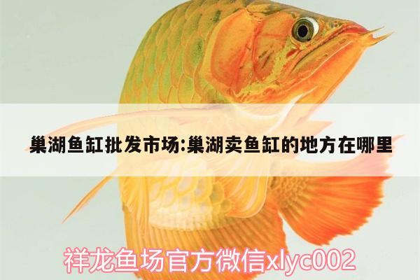 巢湖魚缸批發(fā)市場(chǎng):巢湖賣魚缸的地方在哪里 黑白雙星魚