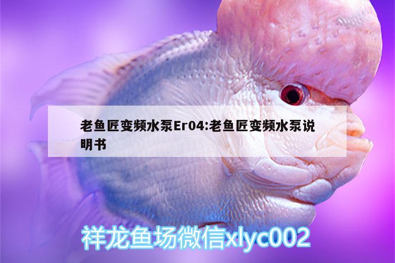 老魚匠變頻水泵Er04:老魚匠變頻水泵說明書 老魚匠