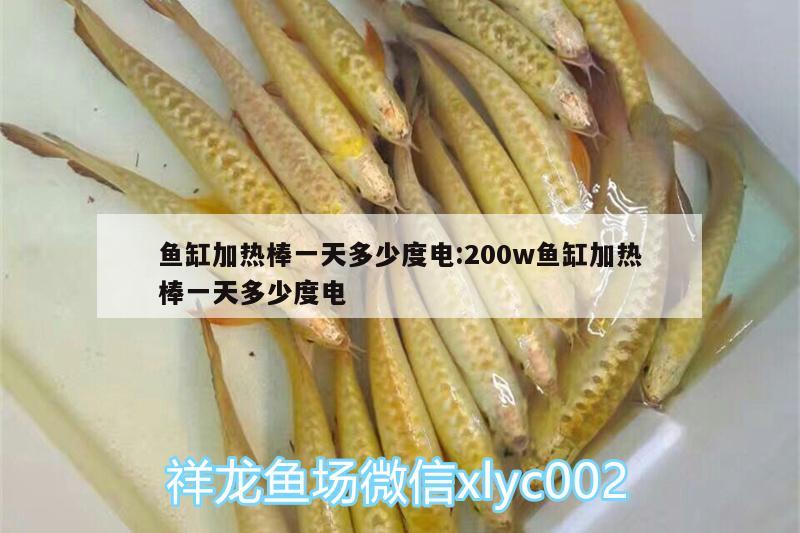 魚缸加熱棒一天多少度電:200w魚缸加熱棒一天多少度電 財神鸚鵡魚 第2張