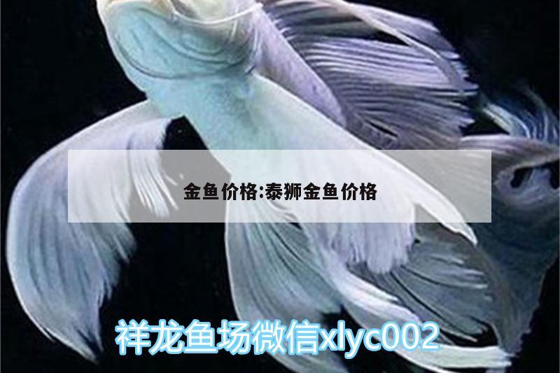 金魚(yú)價(jià)格:泰獅金魚(yú)價(jià)格 泰國(guó)雪鯽魚(yú)