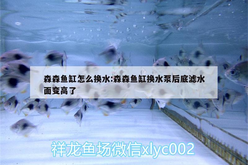 森森魚缸怎么換水:森森魚缸換水泵后底濾水面變高了