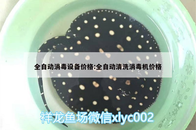 全自動消毒設(shè)備價格:全自動清洗消毒機價格 觀賞魚市場