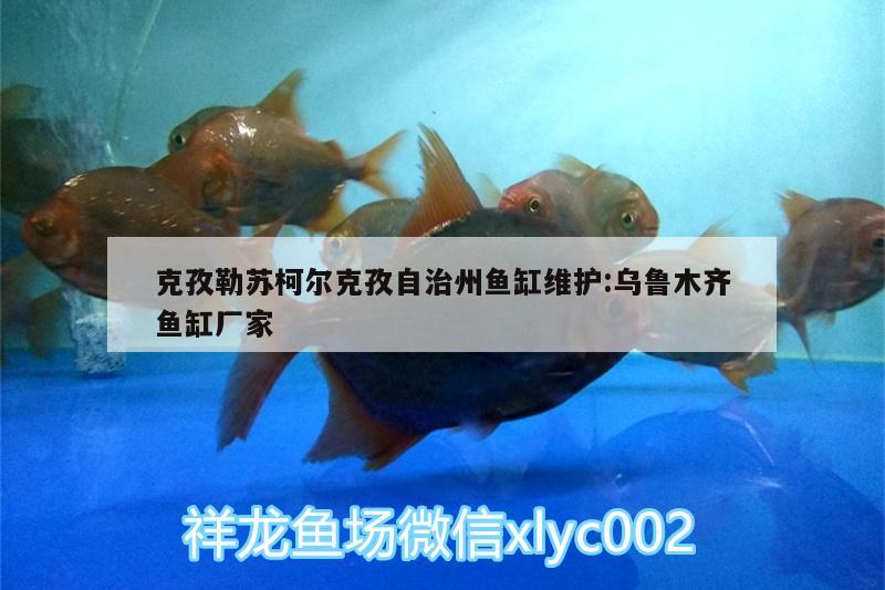 克孜勒蘇柯爾克孜自治州魚缸維護(hù):烏魯木齊魚缸廠家