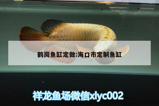 鶴崗魚(yú)缸定做:?？谑卸ㄖ启~(yú)缸