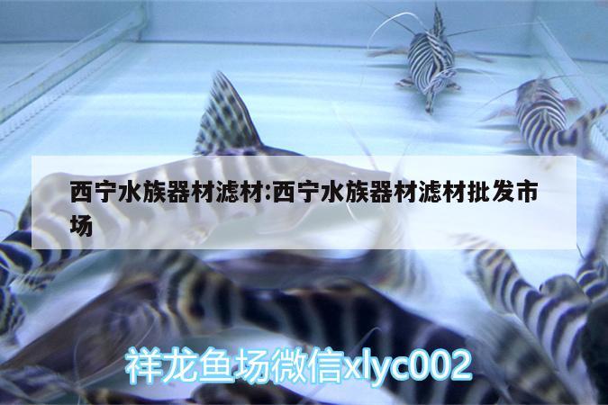 西寧水族器材濾材:西寧水族器材濾材批發(fā)市場