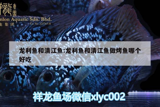 龍利魚和清江魚:龍利魚和清江魚做烤魚哪個好吃