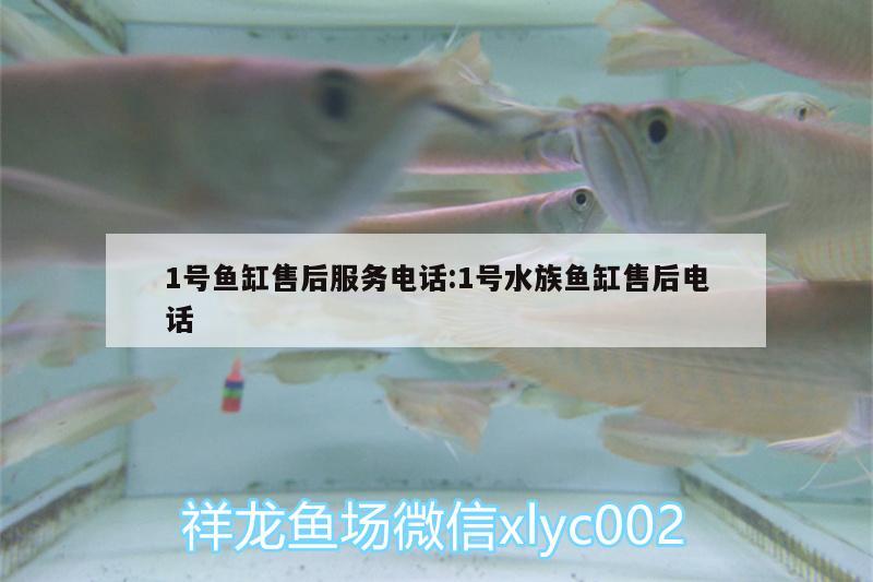 1號魚缸售后服務(wù)電話:1號水族魚缸售后電話