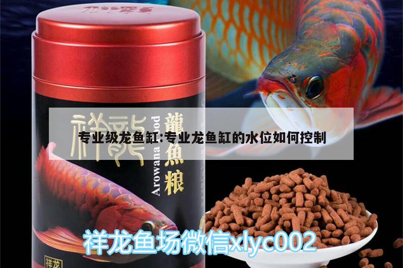 專業(yè)級龍魚缸:專業(yè)龍魚缸的水位如何控制 戰(zhàn)車紅龍魚