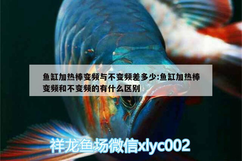 魚缸加熱棒變頻與不變頻差多少:魚缸加熱棒變頻和不變頻的有什么區(qū)別