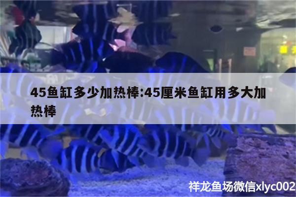 45魚(yú)缸多少加熱棒:45厘米魚(yú)缸用多大加熱棒 馬拉莫寶石魚(yú)苗