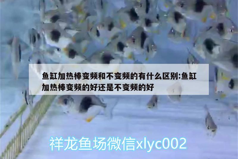 魚缸加熱棒變頻和不變頻的有什么區(qū)別:魚缸加熱棒變頻的好還是不變頻的好