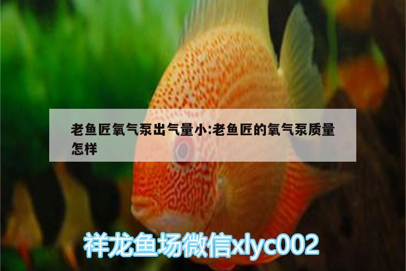 老魚匠氧氣泵出氣量小:老魚匠的氧氣泵質(zhì)量怎樣 老魚匠