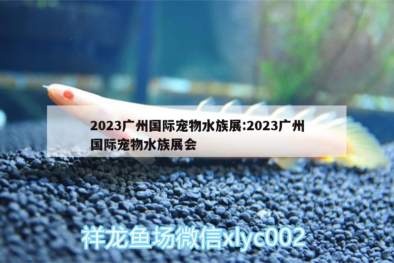 2023廣州國(guó)際寵物水族展:2023廣州國(guó)際寵物水族展會(huì)