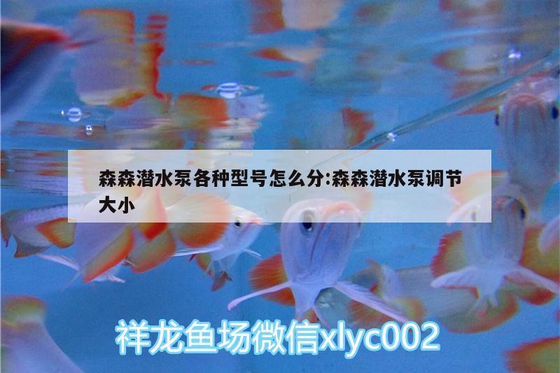 森森潛水泵各種型號(hào)怎么分:森森潛水泵調(diào)節(jié)大小