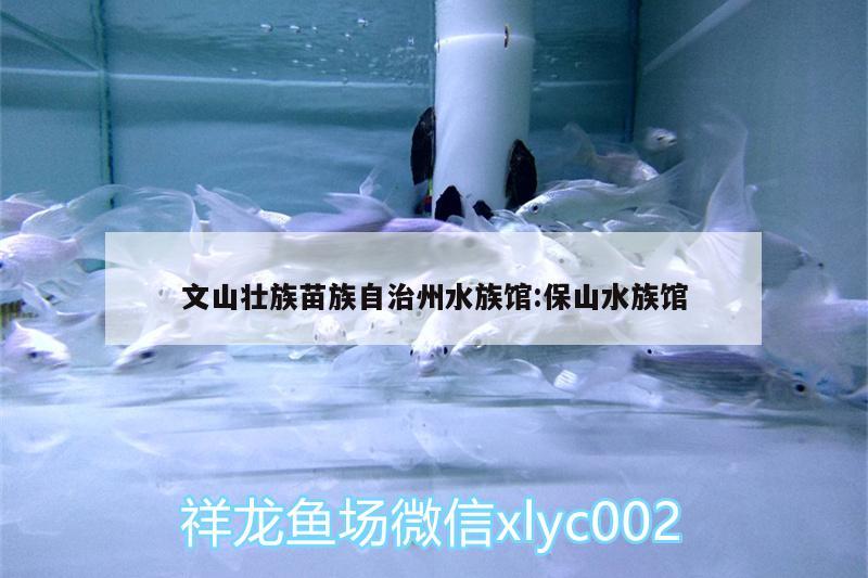 文山壯族苗族自治州水族館:保山水族館