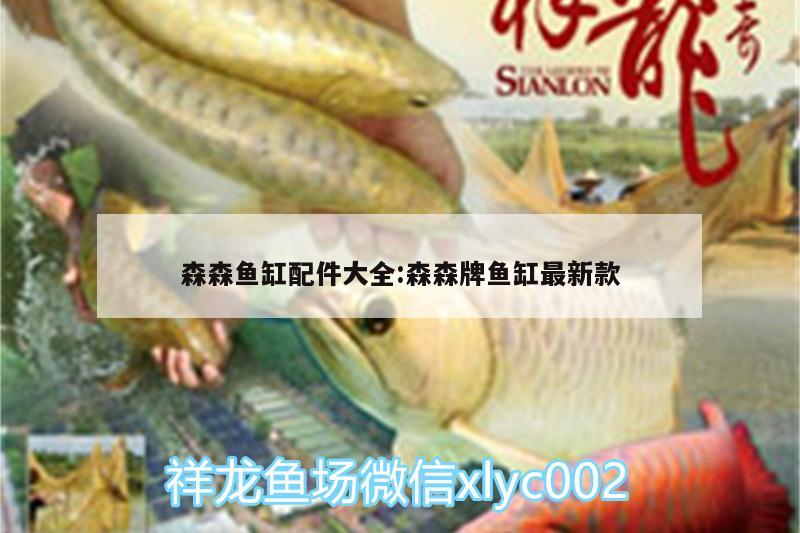 森森魚缸配件大全:森森牌魚缸最新款 泰國(guó)虎魚