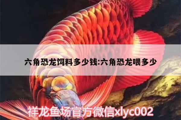 六角恐龍飼料多少錢(qián):六角恐龍喂多少 南美異型魚(yú)