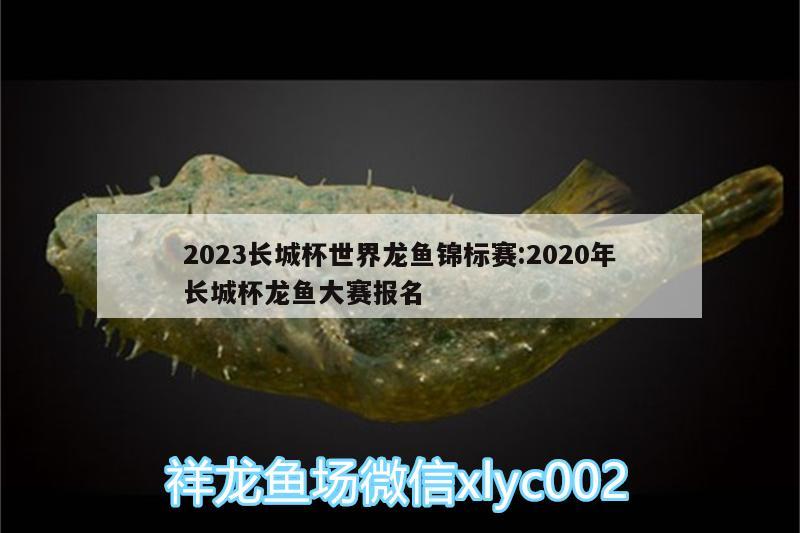 2023長城杯世界龍魚錦標(biāo)賽:2020年長城杯龍魚大賽報(bào)名