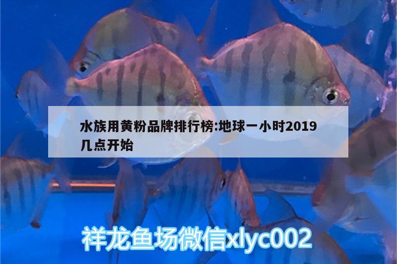 水族用黃粉品牌排行榜:地球一小時(shí)2019幾點(diǎn)開(kāi)始