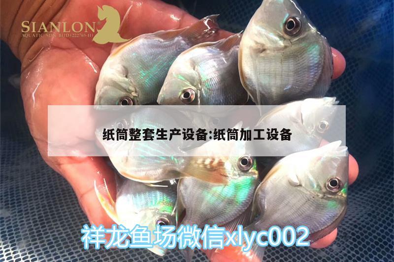 紙筒整套生產(chǎn)設(shè)備:紙筒加工設(shè)備 星點金龍魚