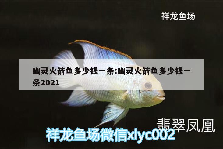 幽靈火箭魚(yú)多少錢一條:幽靈火箭魚(yú)多少錢一條2021 黃金招財(cái)貓魚(yú)