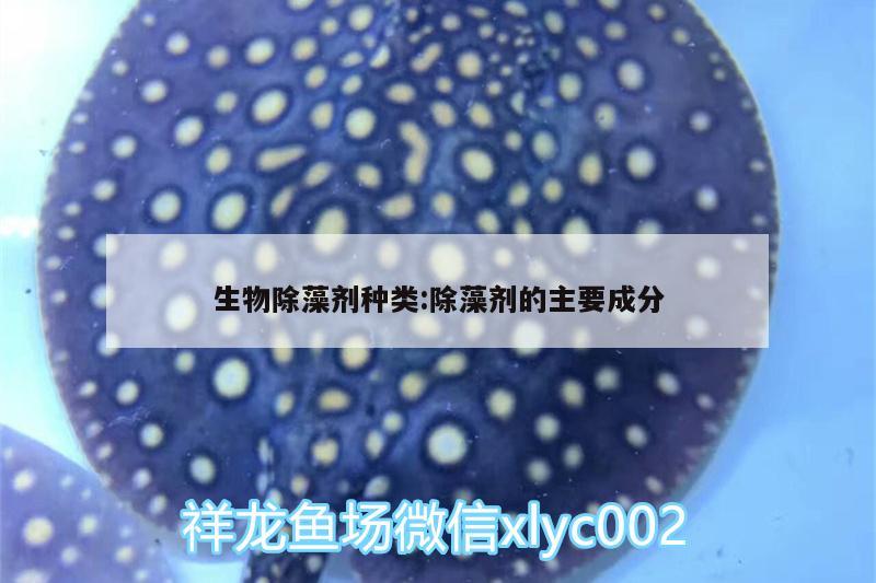 生物除藻劑種類:除藻劑的主要成分 硝化細(xì)菌