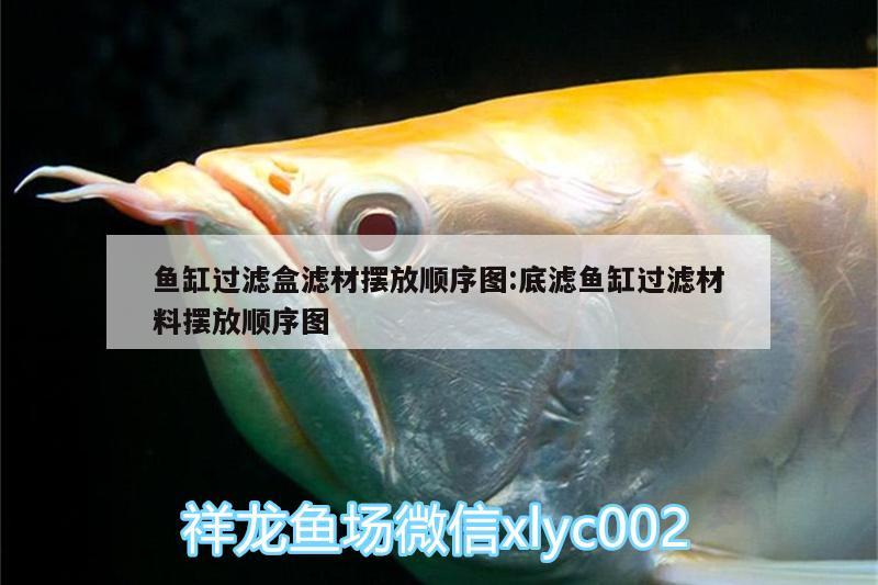 魚缸過(guò)濾盒濾材擺放順序圖:底濾魚缸過(guò)濾材料擺放順序圖