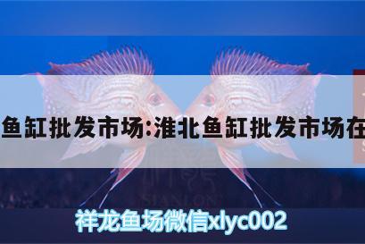 淮北魚缸批發(fā)市場:淮北魚缸批發(fā)市場在哪里