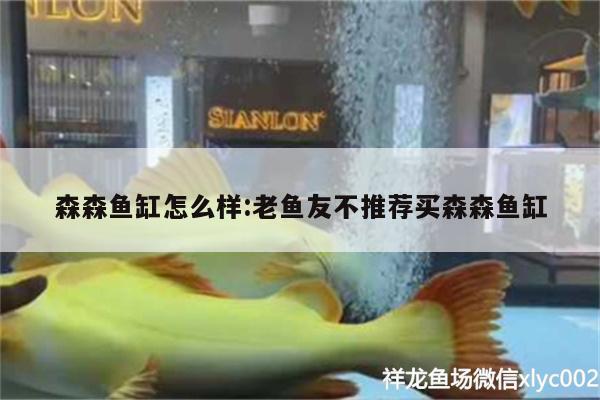 森森魚缸怎么樣:老魚友不推薦買森森魚缸