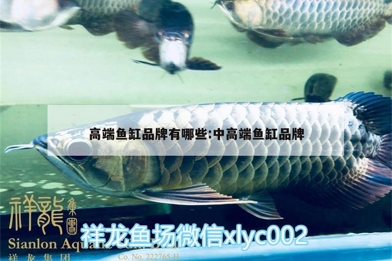 高端魚缸品牌有哪些:中高端魚缸品牌