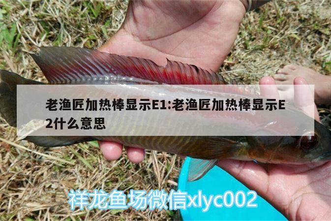 老漁匠加熱棒顯示E1:老漁匠加熱棒顯示E2什么意思 魟魚百科