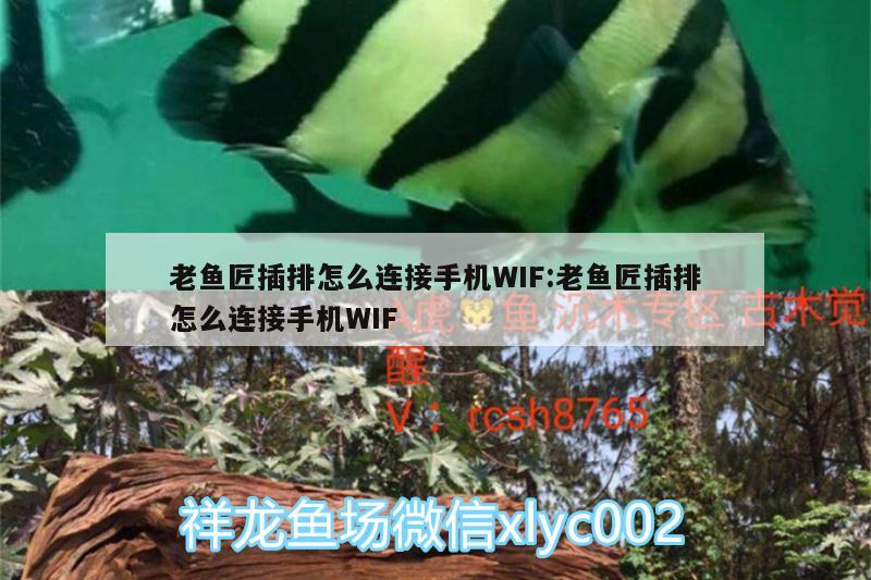 老魚匠插排怎么連接手機(jī)WIF:老魚匠插排怎么連接手機(jī)WIF